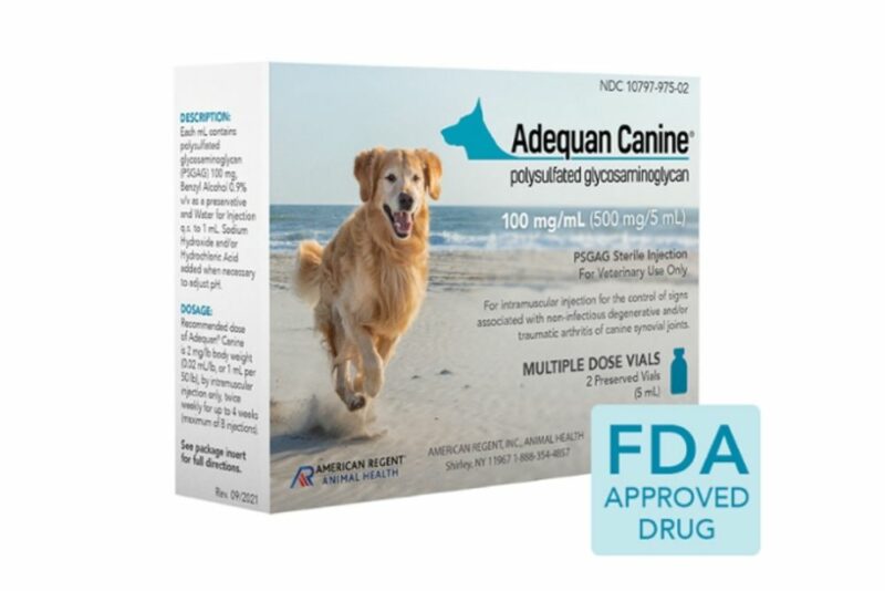 10 Best Arthritis Medications for Dogs Great Pet Care