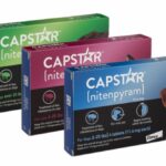 Capstar