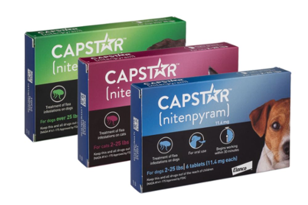 Capstar for cats