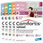 Comfortis