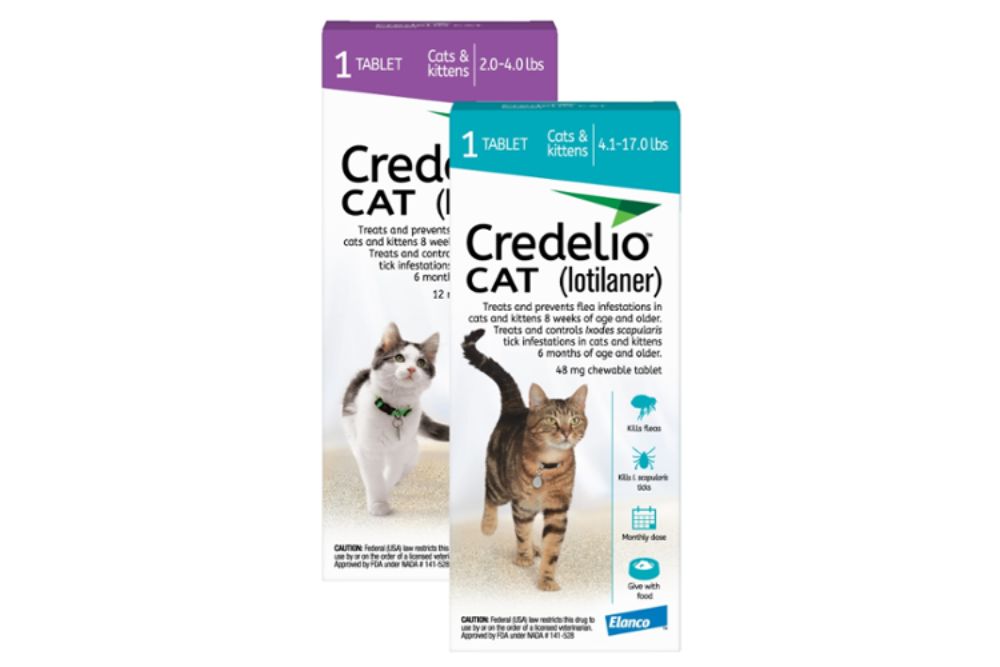 Chewable flea outlet medicine for cats