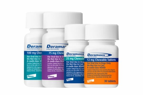 Photo inspiration: 10 Best Arthritis Medications For Dogs Photo Inspiration