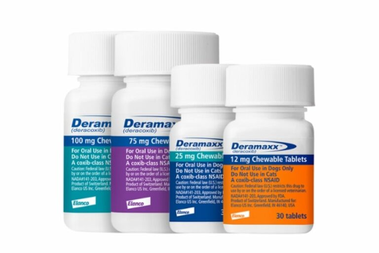 10 Best Arthritis Medications for Dogs Great Pet Care