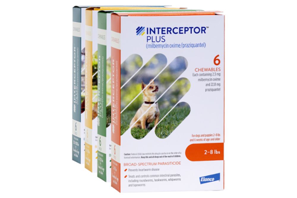 Interceptor plus for dogs