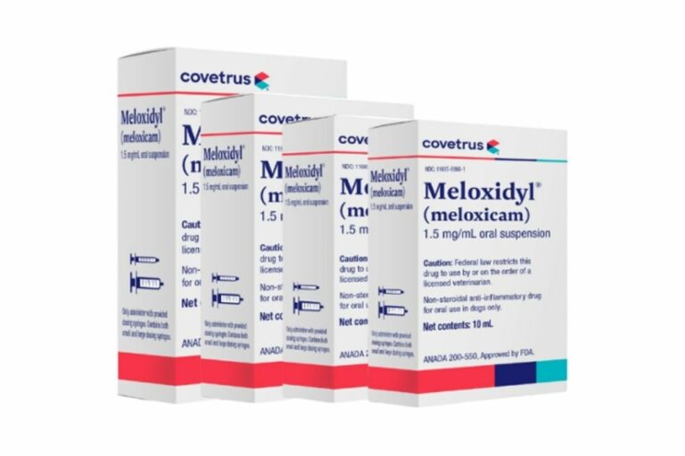 10 Best Arthritis Medications for Dogs Great Pet Care