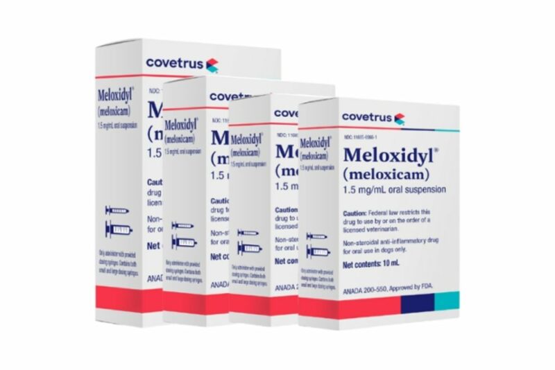 10 Best Arthritis Medications for Dogs Great Pet Care