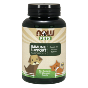 6 Vet-Approved Supplements for Dogs with Cancer | Great Pet Care