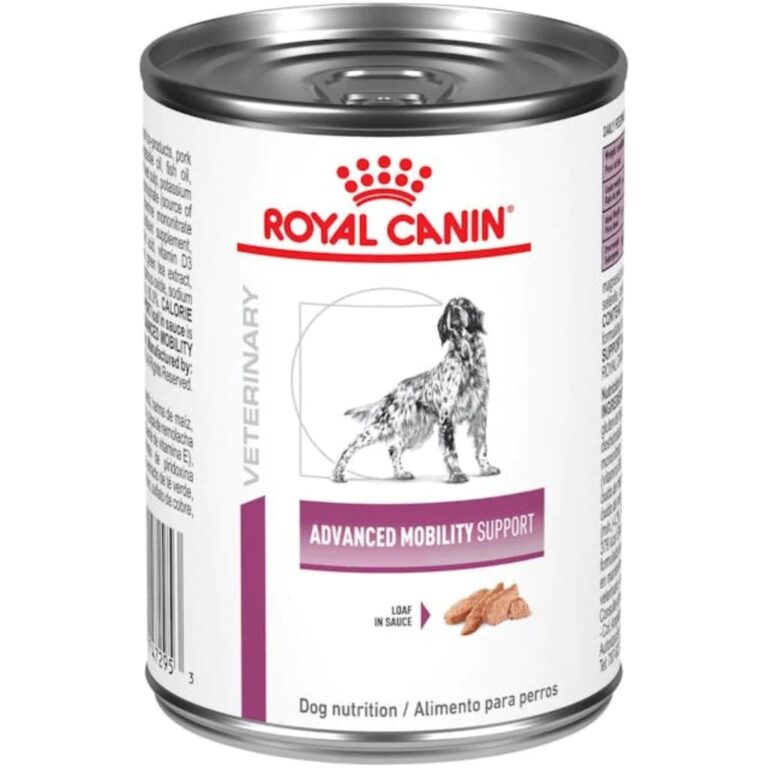 Best Dog Food for Arthritis: 5 Vet-Recommended Picks | Great Pet Care