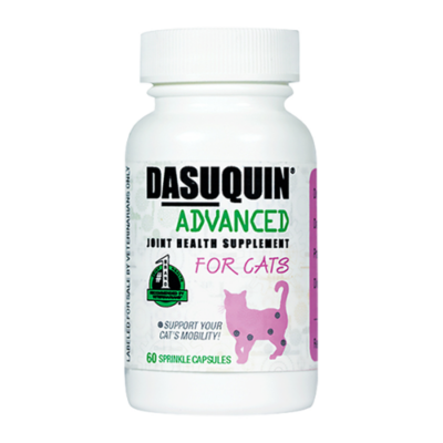 Cat Obesity: Risks, Symptoms and Solutions | Great Pet Care