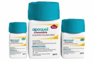Apoquel chewable tablets for dogs