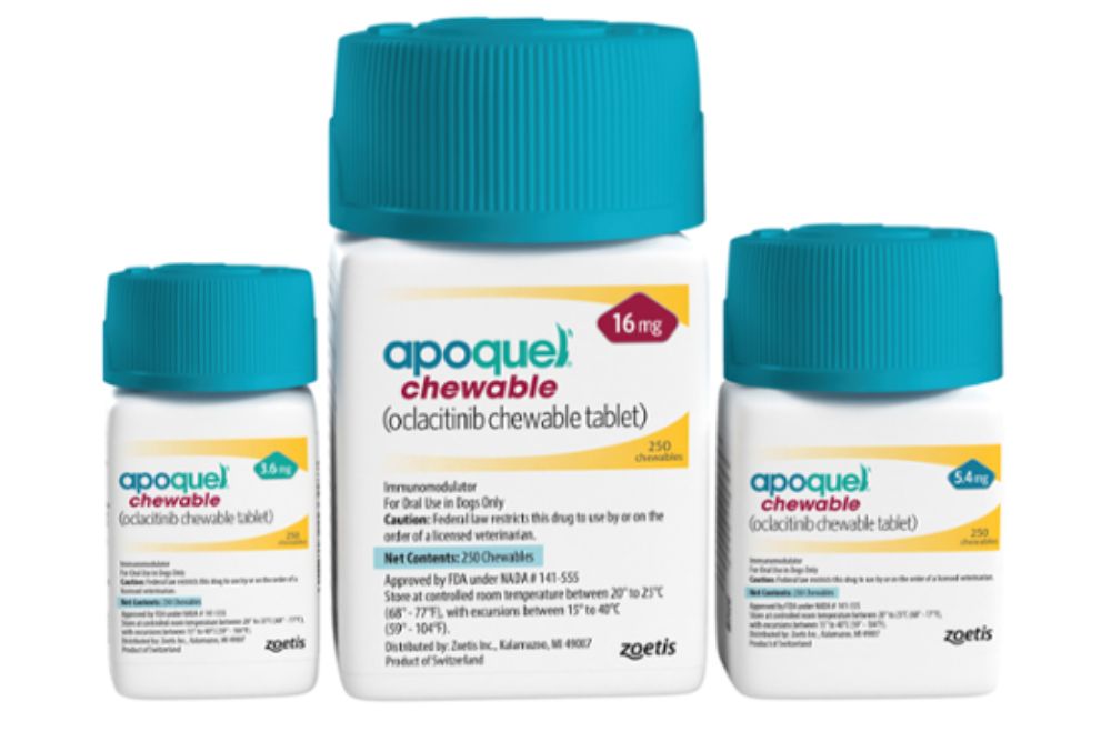 Apoquel chewable tablets for dogs