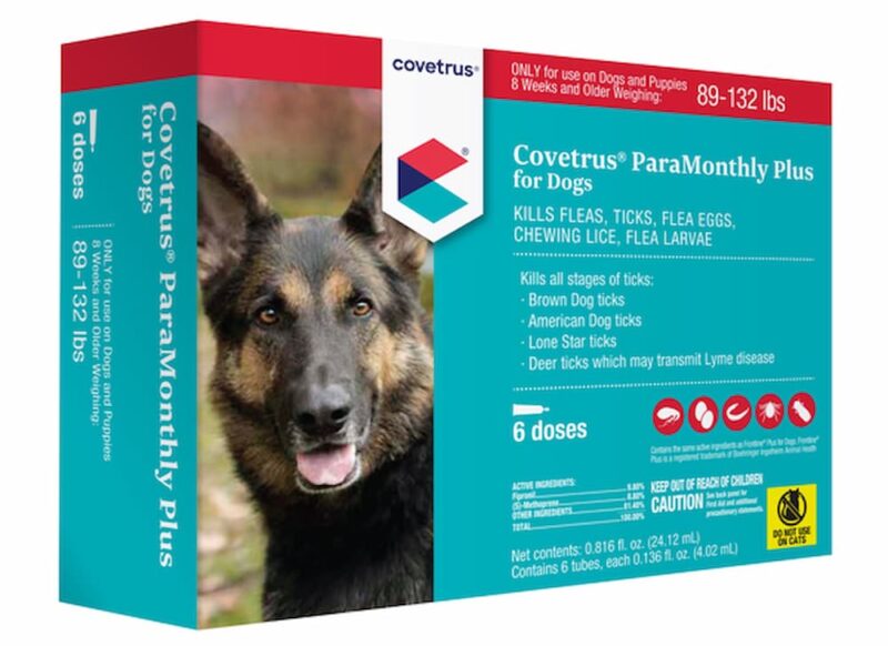 Best Tick Prevention for Dogs: Vet-Approved Picks | Great Pet Care