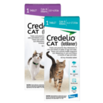 Credelio CAT