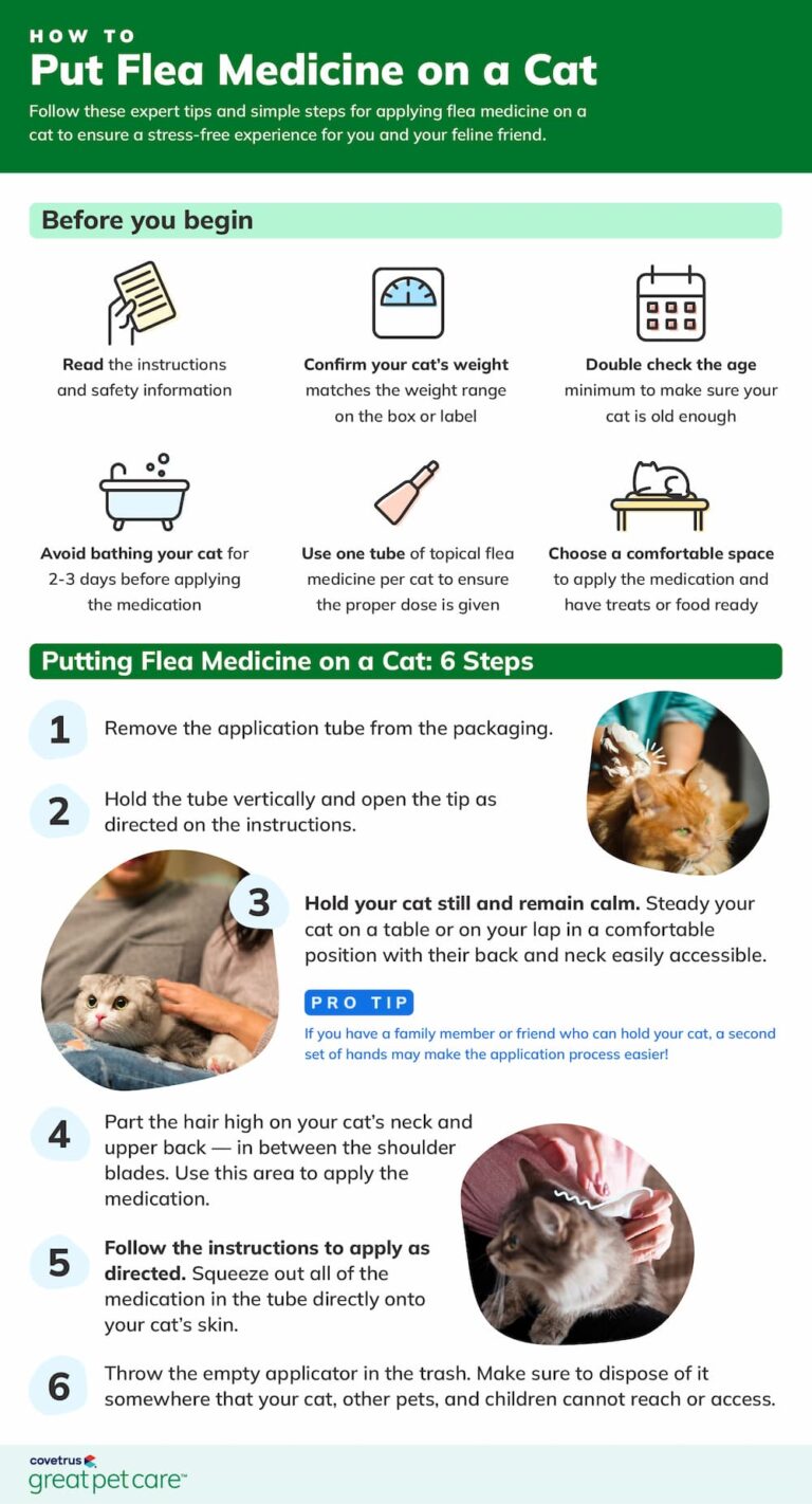 How to Put Flea Medicine on a Cat | Great Pet Care