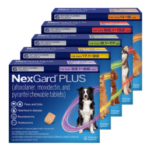 NexGard&reg; PLUS Chewable Tablets for Dogs