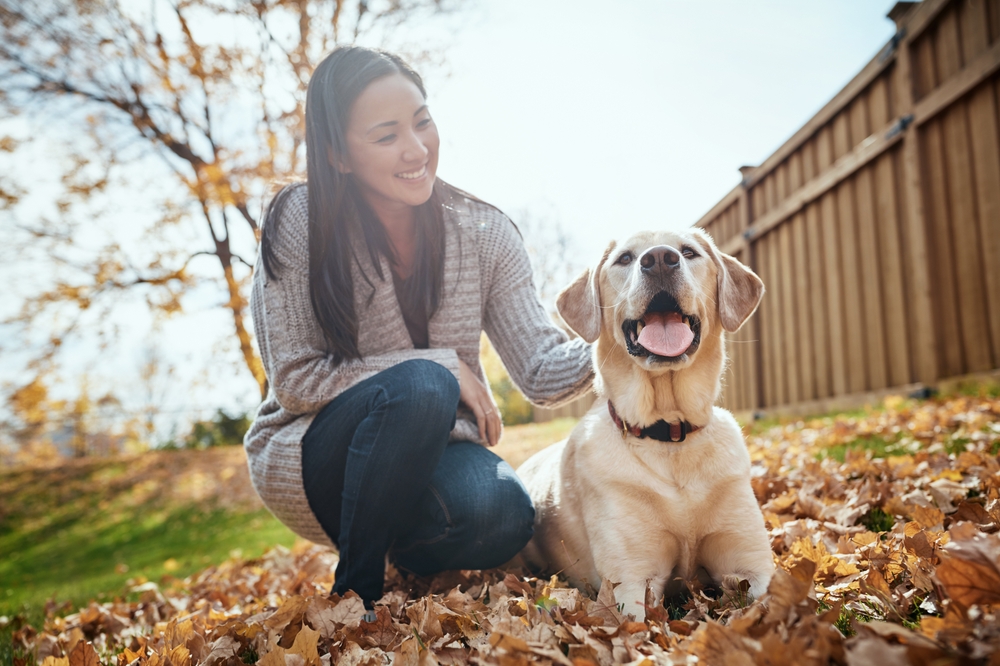 Thumbnail for Mineral Supplements For Large Breed Dog Heart Health
