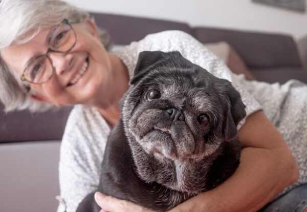 Image showcasing 7 Hip and Joint Supplements for Dogs | Great Pet Care