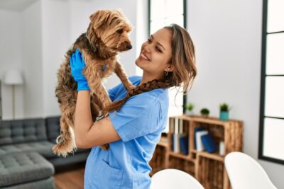 Mobile Vet Visit: What to Expect