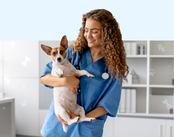 Search My Vet Hero Banner Mobile