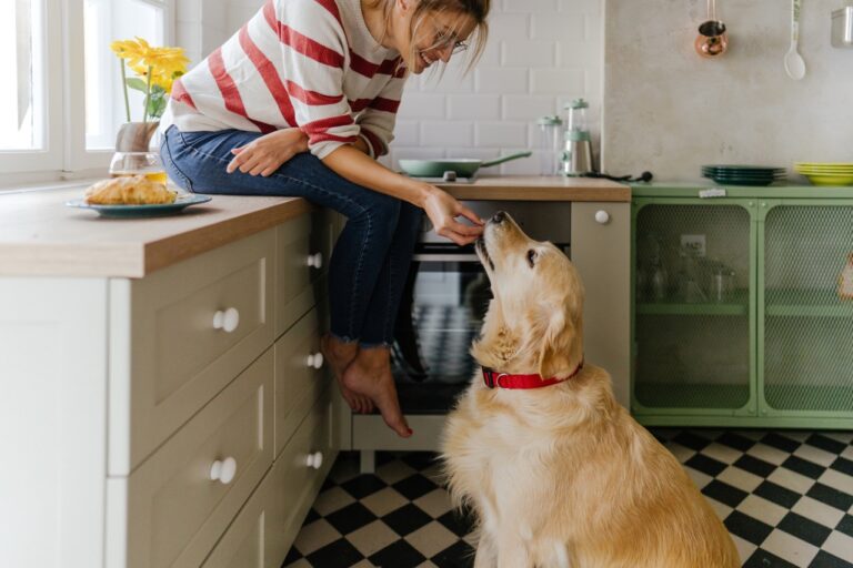 Woman sitting on kitchen countertop feeding a dog