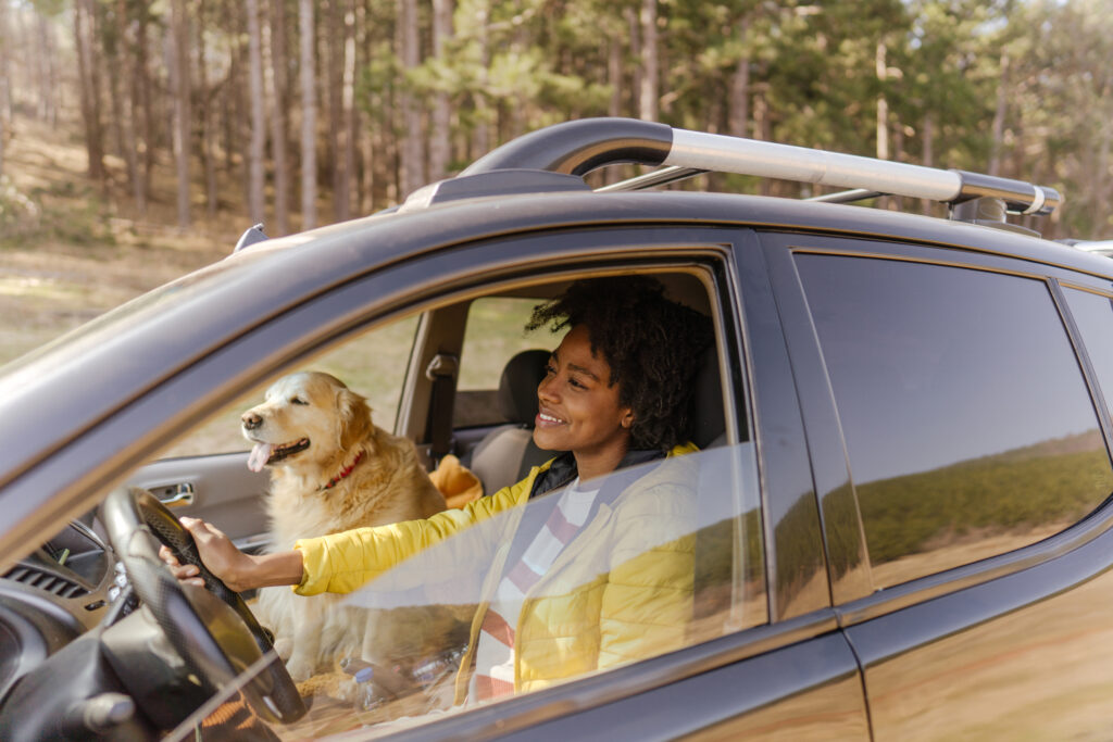 Woman driving with dog in passenger seat