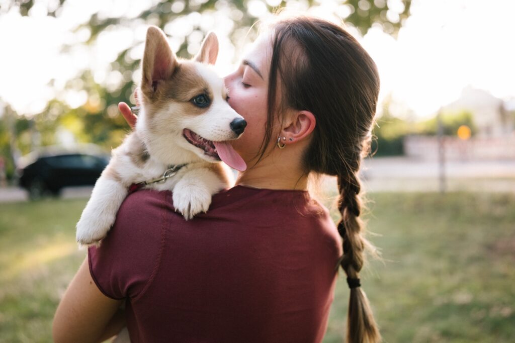 Young woman with corgi puppy in arms
