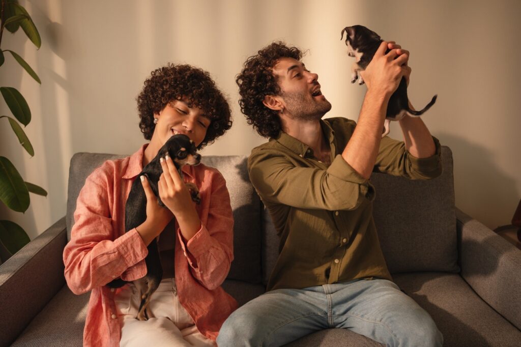 Couple is playing with a dogs at home