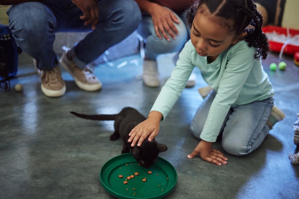 Child sitting on the floor, petting a cat that is eating off of a plate