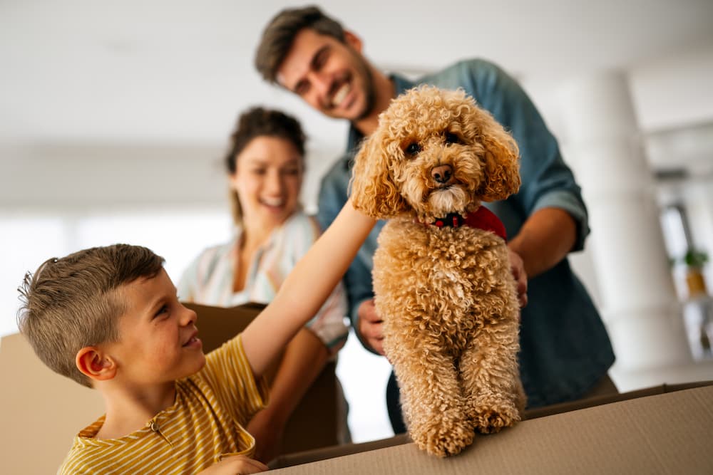 Family members looking at and smiling at a dog