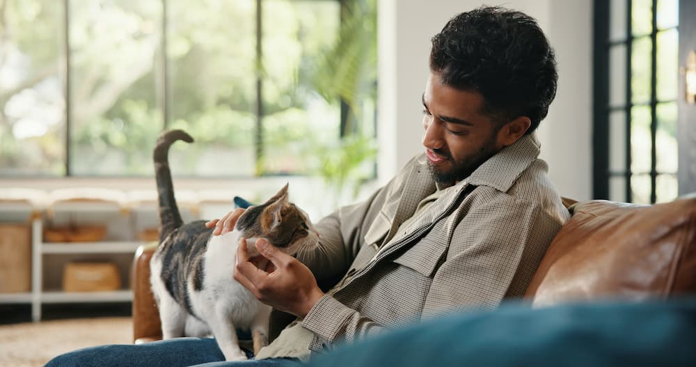 Man sitting on a couch and petting a cat