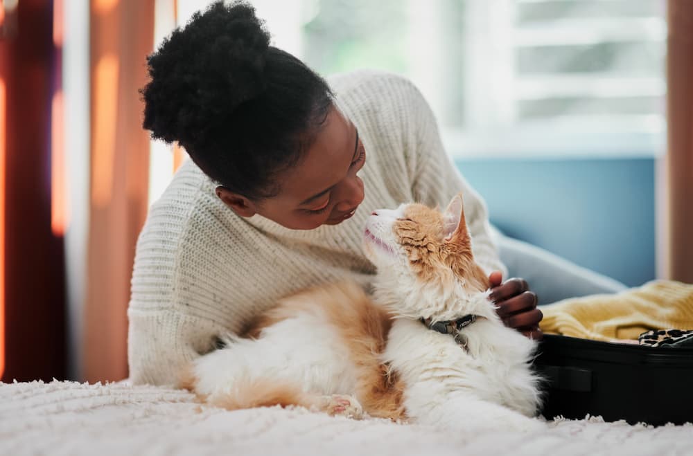 Woman petting a cat on a bed