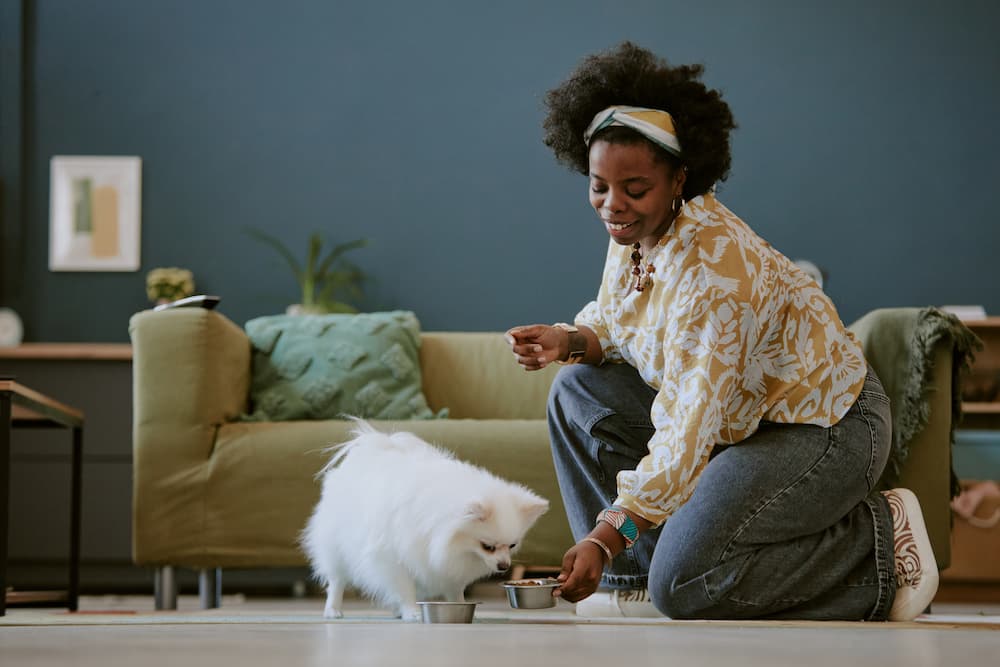 Woman feeding pet dog in cozy home setting