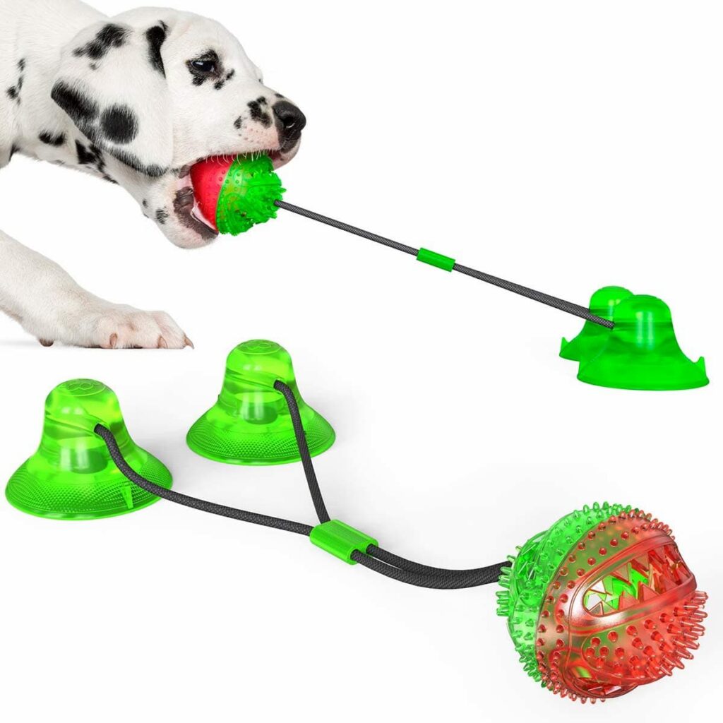 suction to the floor dog toy