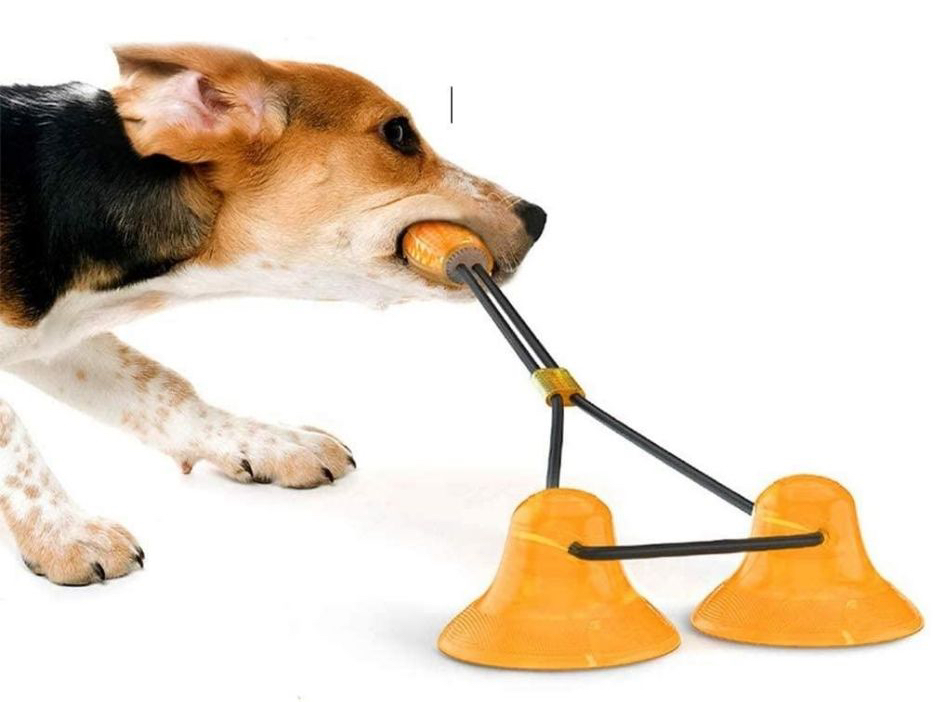 dog ball that sticks to the floor