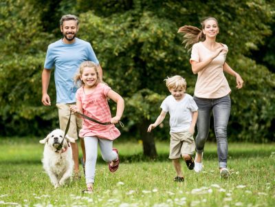 Preparing for Outdoor Activities With Your Pet