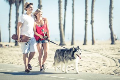 The Best Dog Parks in Los Angeles: The Definitive List