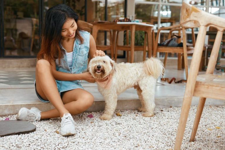 Woman with dog at restaurant outdoors