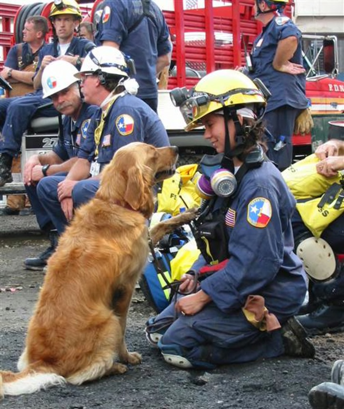 Honoring the Hero Guide Dogs of September 11th Honoring the Hero Guide Dogs of September 11th