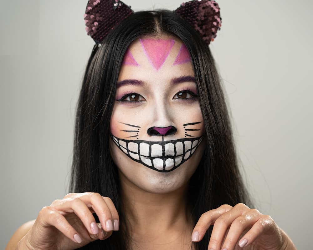 Cat Face Paint: How to It Like a Pro - Great Pet