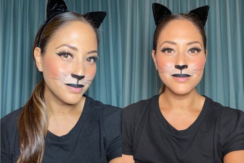 Cat Face Paint How to Do It Like a Pro Great Pet Living