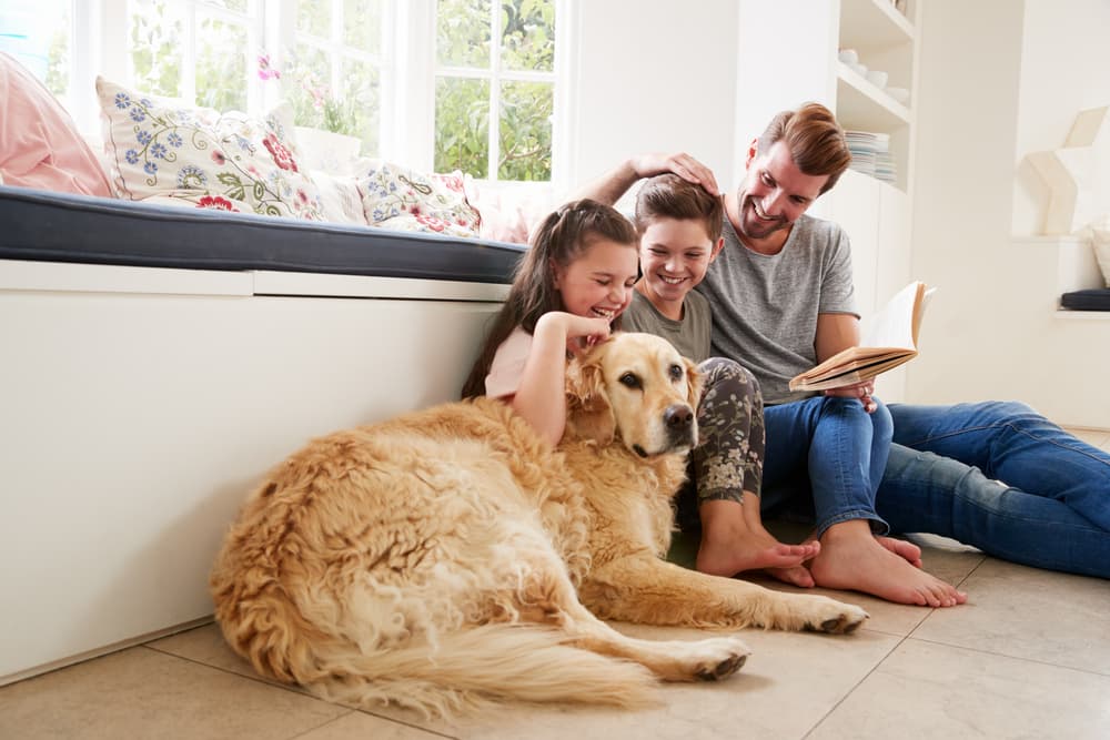 8 Best Dog Books for Kids 8 Best Dog Books for Kids