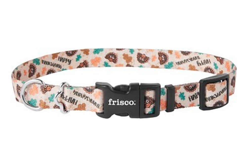 thanksgiving-dog-collar-frisco