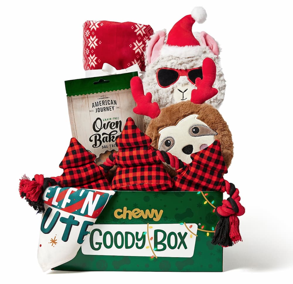 Toy goody box from Chewy