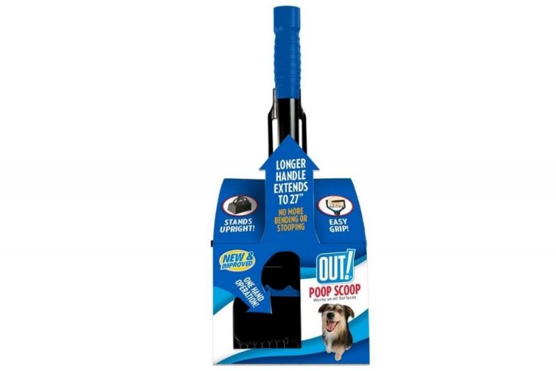 Dog Poop Clean Up Surefire Methods To Try Great Pet Living