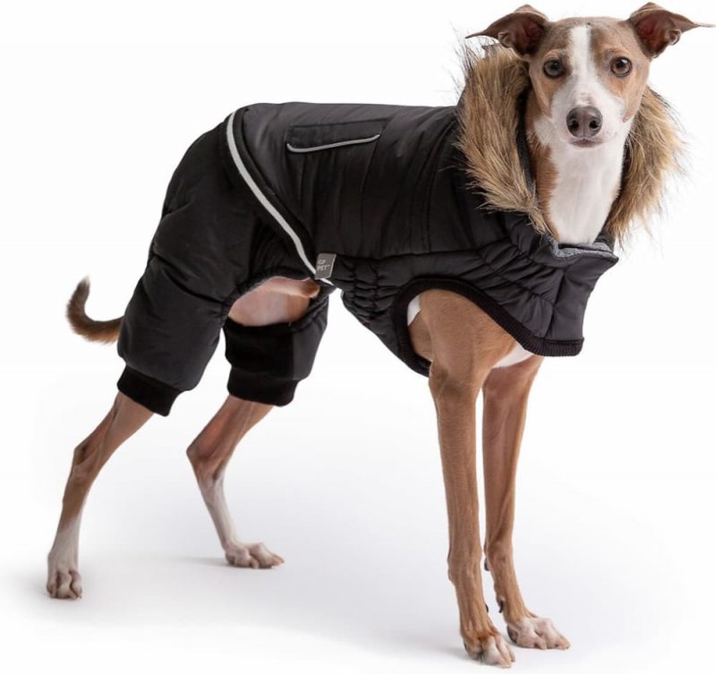 6 Dog Snowsuit Picks for ColdWeather Fun Great Pet Living