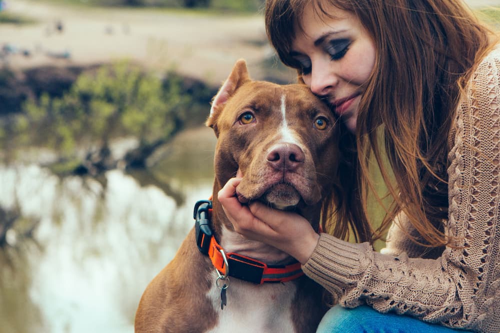 woman with sweet Pit Bull