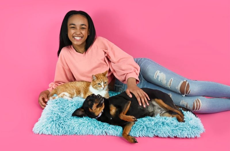 10 BlackOwned Pet Brands We Love Great Pet Living