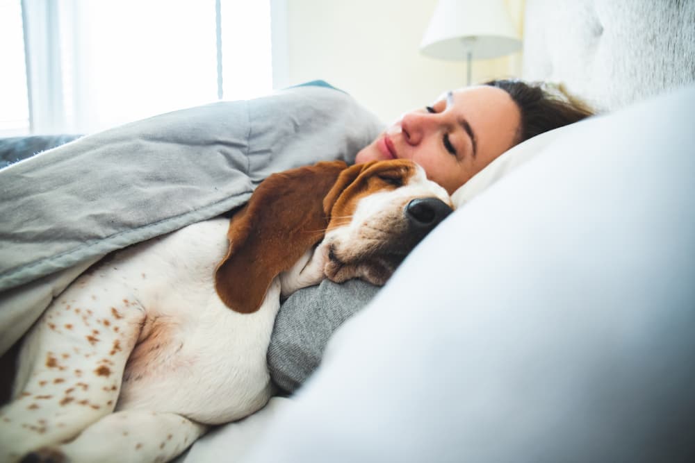 dog sleeping with his mom