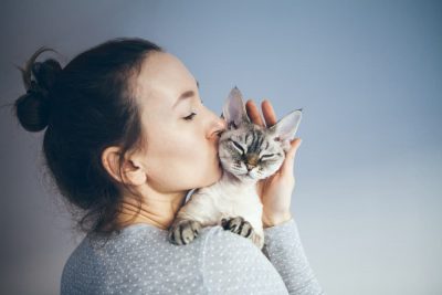 Do Cats Like Kisses?