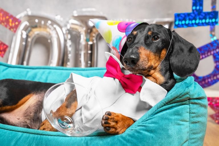 32 Dog Birthday Quotes to Celebrate Pups and Pet Lovers - Great Pet Living